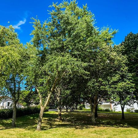 T3 Moderne Avec Balcon Terrasse Et Parking Gratuit Lejlighed Niort Eksteriør billede