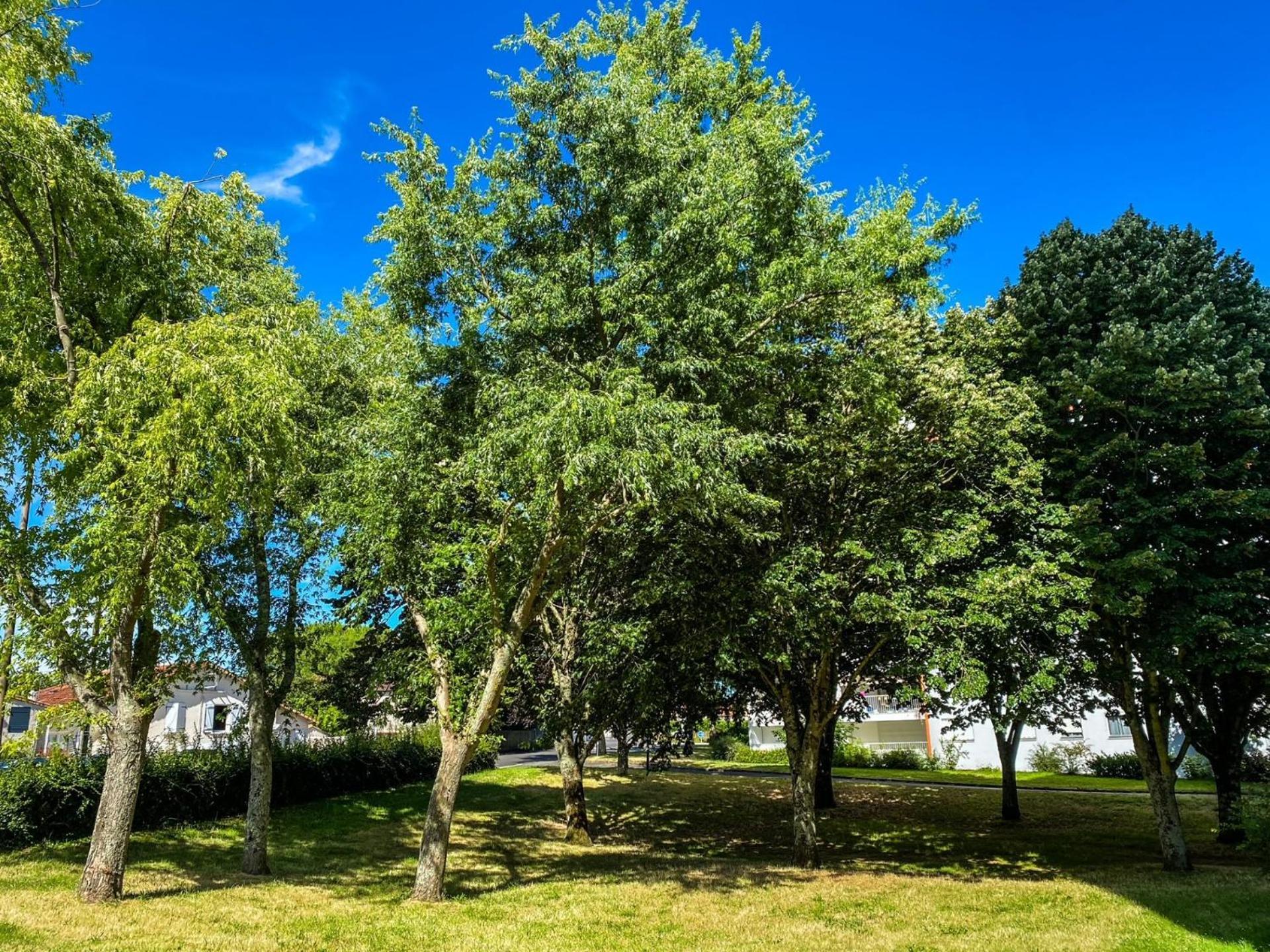 T3 Moderne Avec Balcon Terrasse Et Parking Gratuit Lejlighed Niort Eksteriør billede